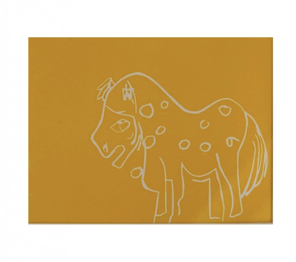 Lost Pony